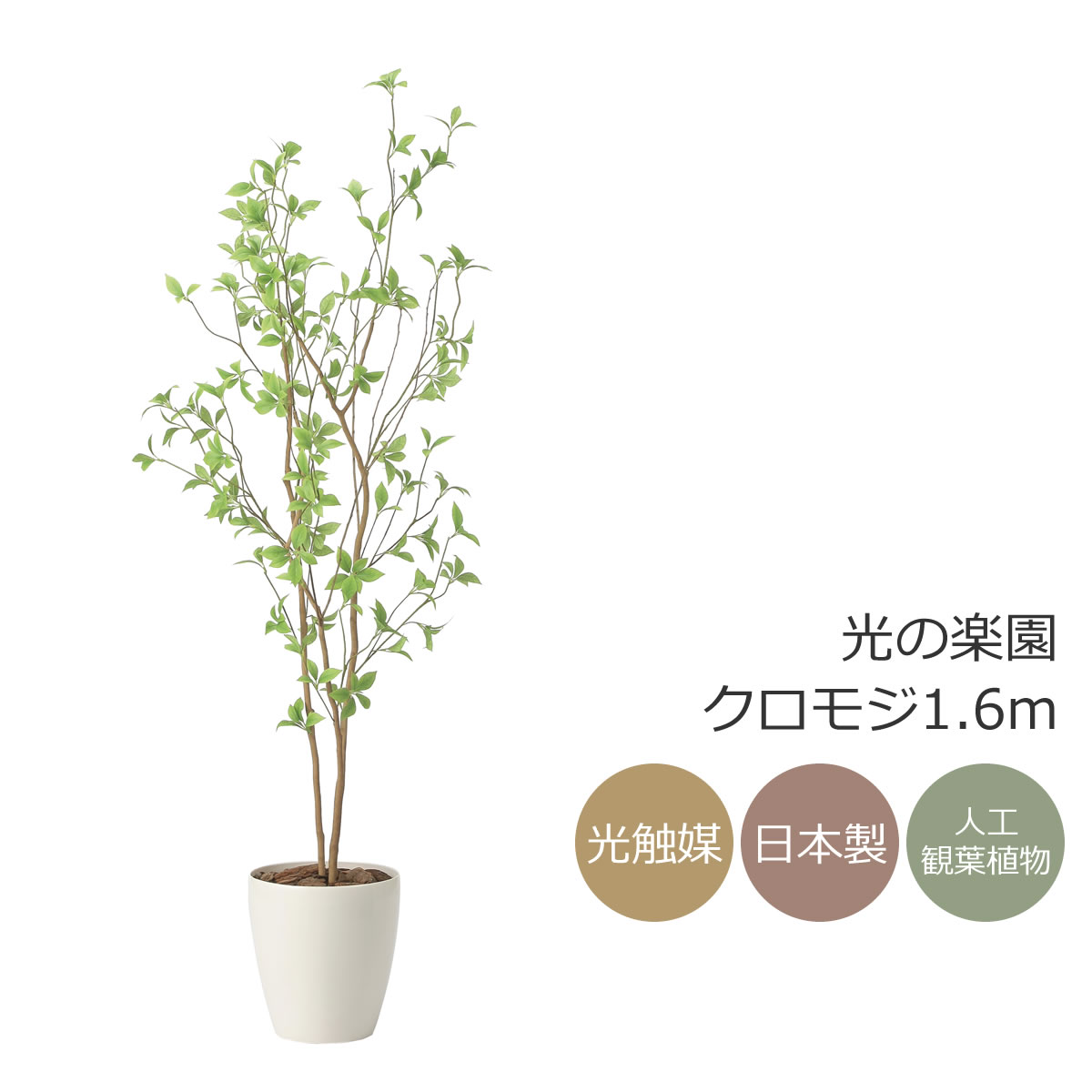 楽天市場】光触媒 光の楽園 クロモジ1.6 インテリア フェイクグリーン