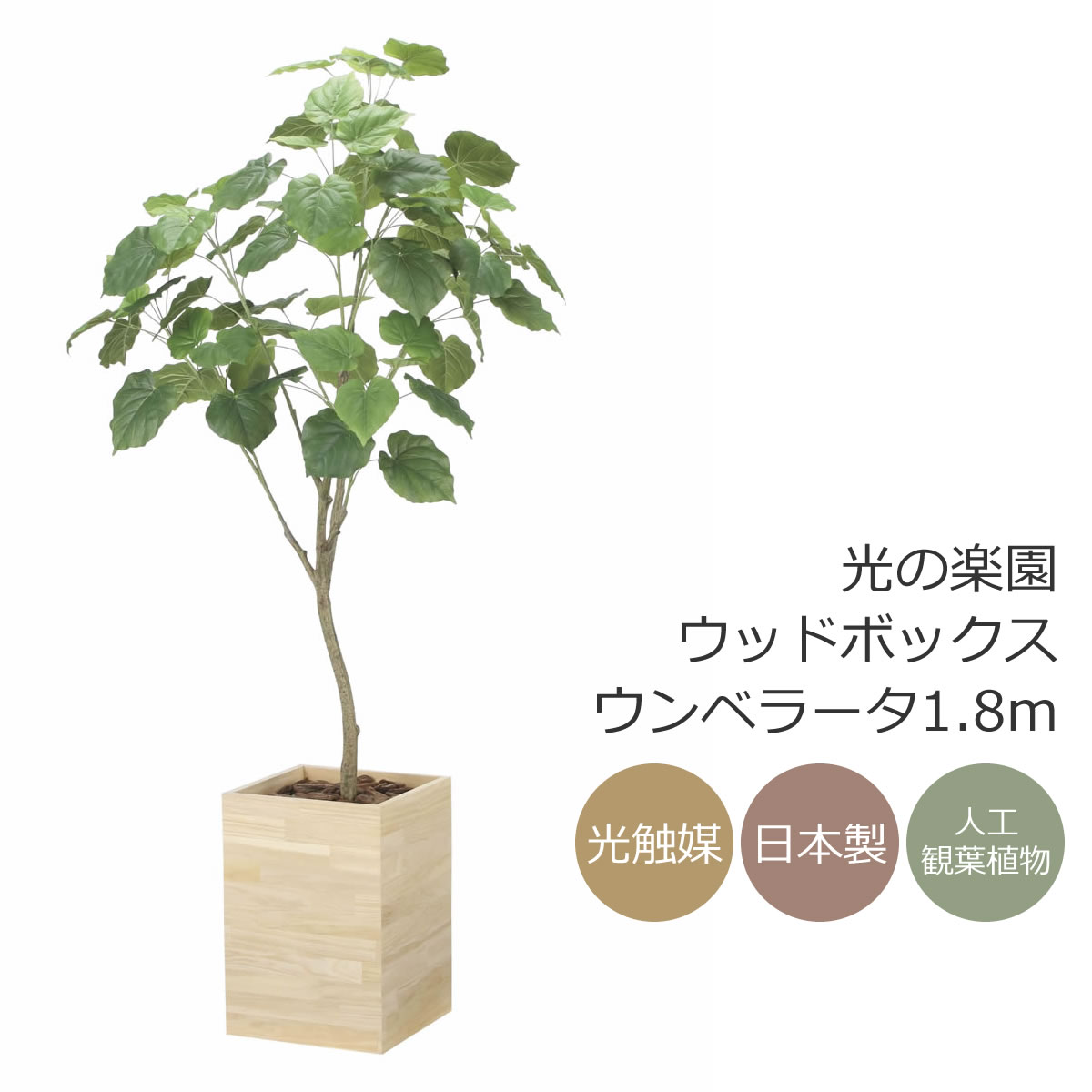 楽天市場】光触媒 光の楽園 ウッドボックスウンベラータ1.8m