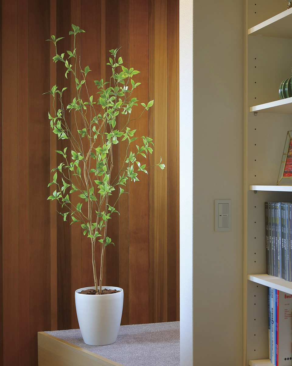 楽天市場】光触媒 光の楽園 クロモジ1.6 インテリア フェイクグリーン