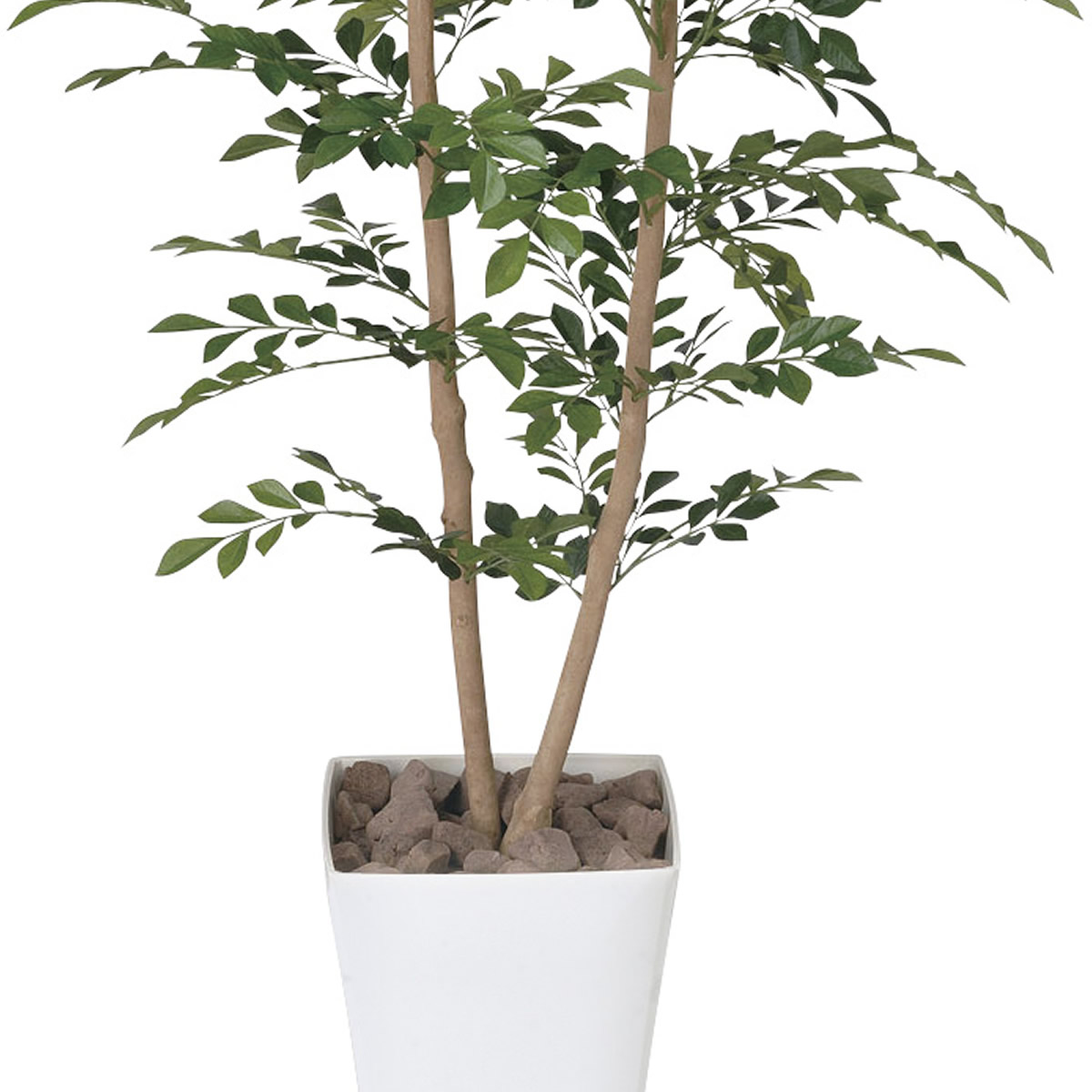 楽天市場】光触媒 光の楽園 トネリコ 1.2m【インテリア フェイク