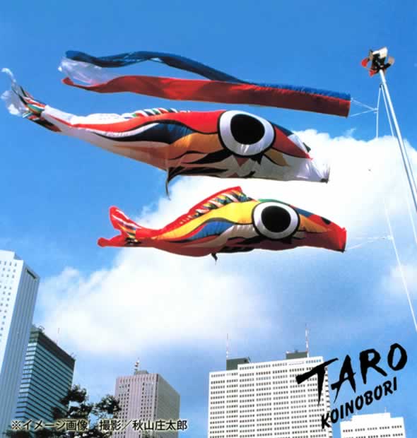 楽天市場】岡本太郎鯉のぼり お庭用 岡本太郎 TARO 太郎鯉 TARO400