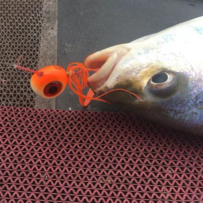 楽天市場】タイラバヘッド 150g 200g 2個セット KAIRI 鯛ラバ ヘッド