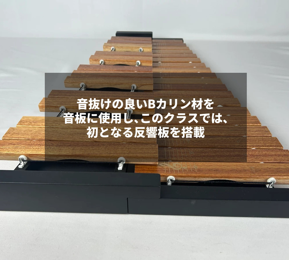 楽天市場】＼ランキング1位獲得／ 木琴 子供 32音 卓上木琴 ゼンオン