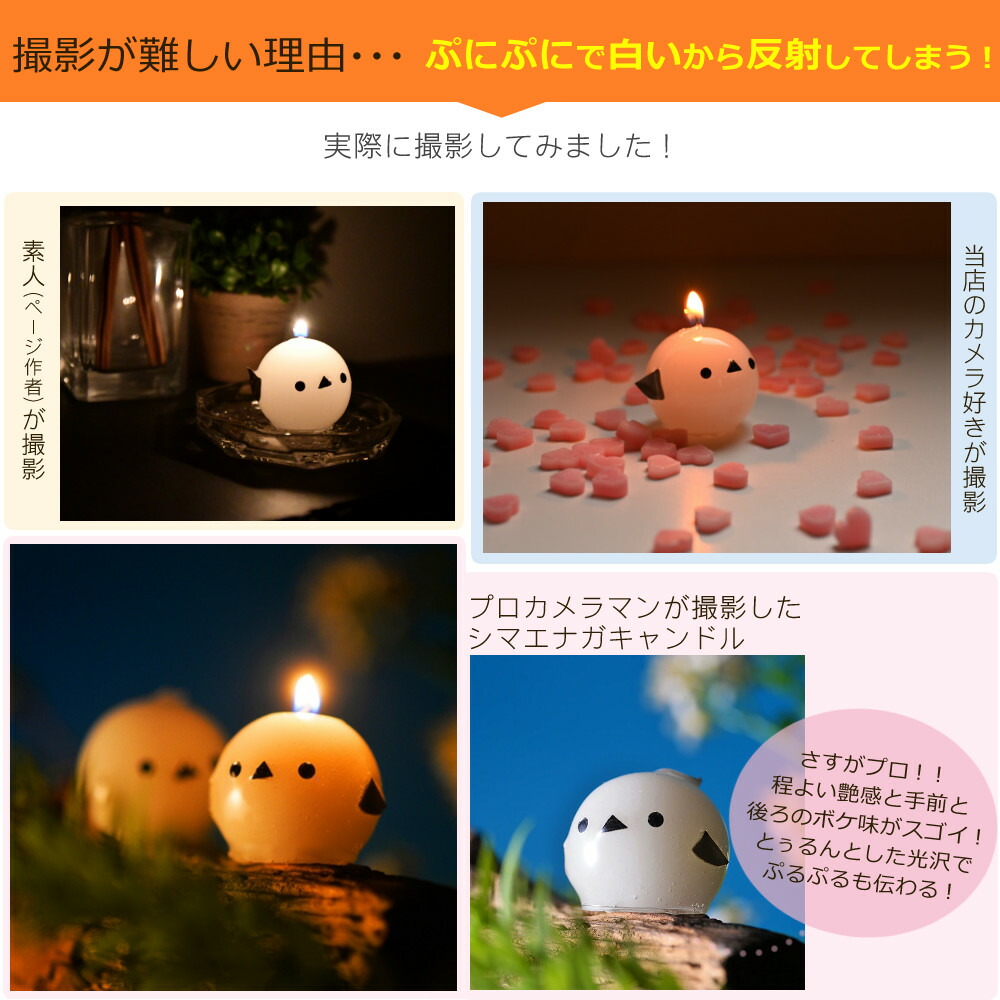 楽天市場】【レンズ保護フィルター付】タムロン 28-200mm F/2.8-5.6 Di