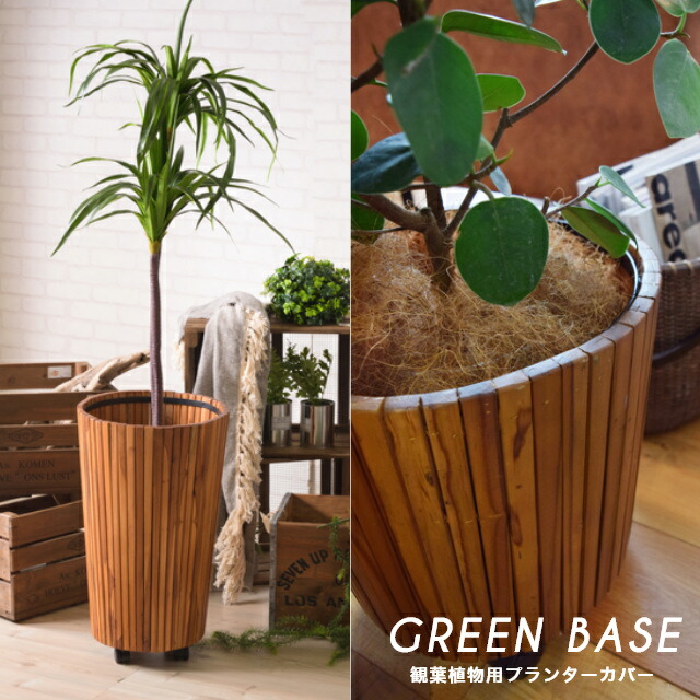 楽天市場】プランター おしゃれ 植木鉢 鉢植え 観葉植物をセンス良く