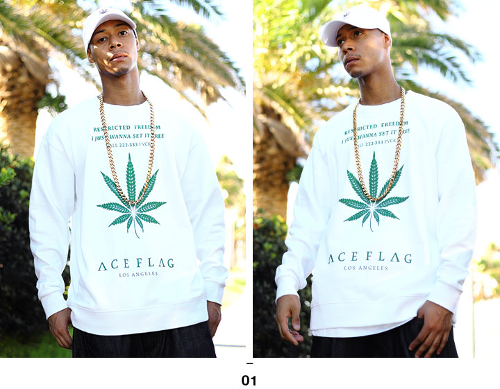 楽天市場】【75%OFF】ACEFLAG トレーナー ブランド スケボー 長袖