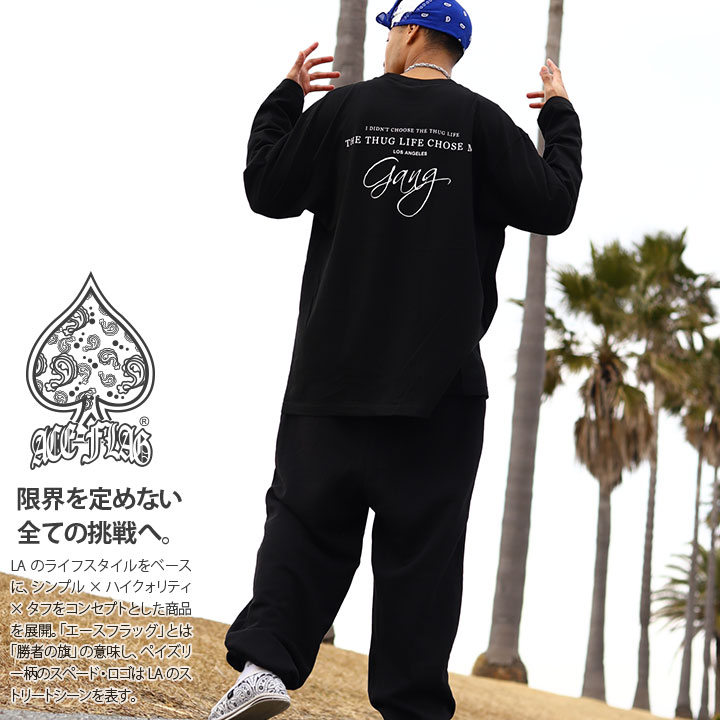 楽天市場】【48%OFF】ACE FLAG 上下セット 長袖 ブランド メンズ 春