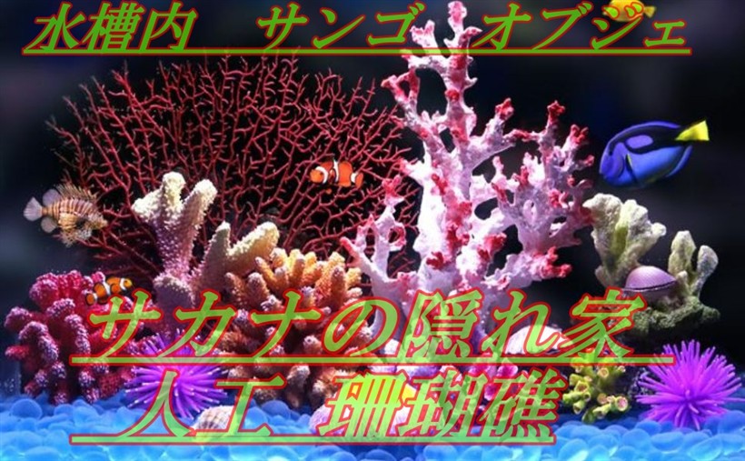 楽天市場】【楽天ランキング1位入賞】サンゴ 珊瑚 礁 アクアリウム