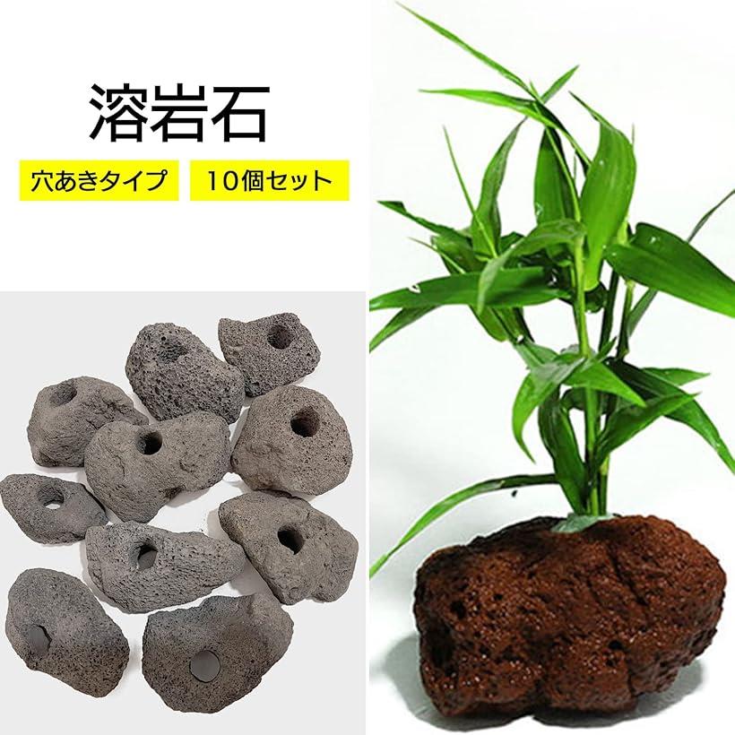 楽天市場】モデルノ ラ テール 溶岩石 穴あき アクアリウム オブジェ