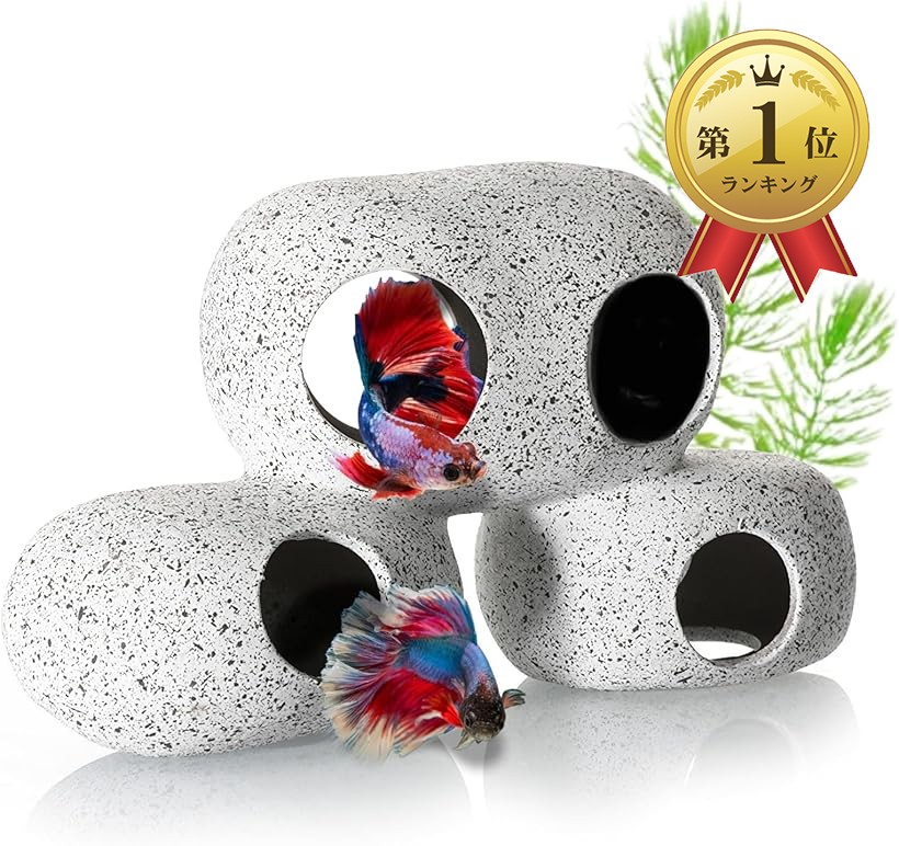 楽天市場】【楽天ランキング1位入賞】アクアリウム 石 水槽 オブジェ