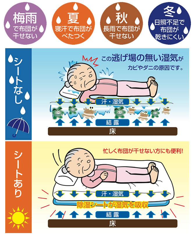 楽天市場】＼10%OFF&抽選ポイント還元☆11日1:59まで！／ 除湿シート