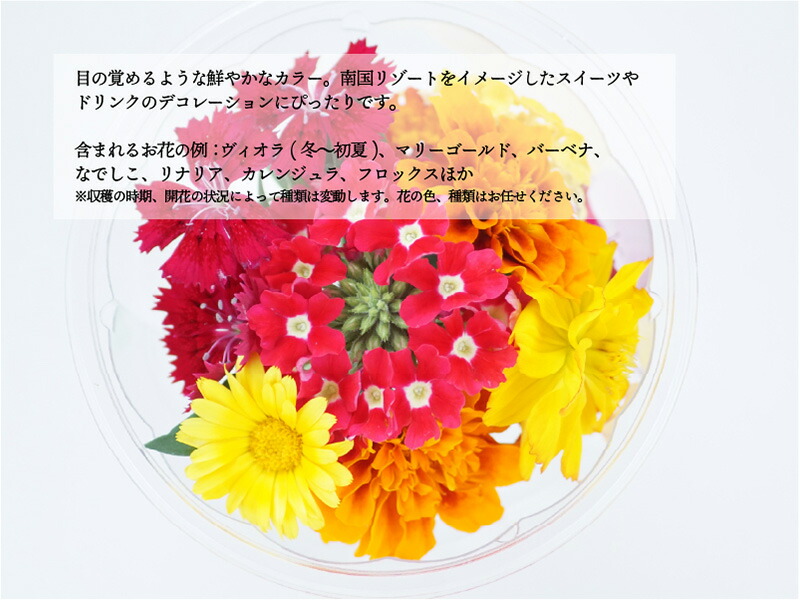 楽天市場】生花 エディブルフラワー 【ビタミンカラー ミックス】 40輪
