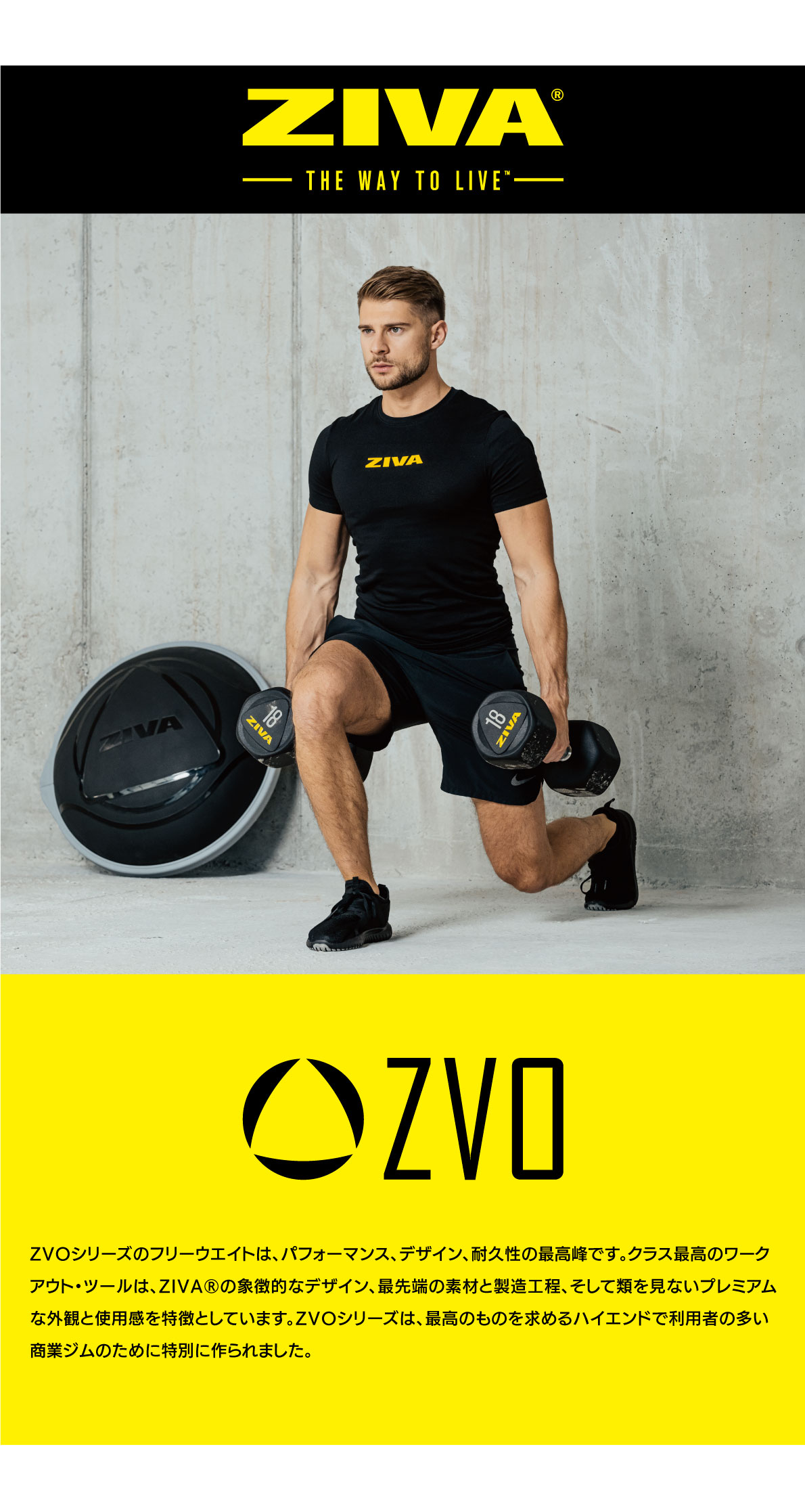 楽天市場】【業務用】ダンベル DUMBBELL 10個 5ペアセット 32kg 34kg