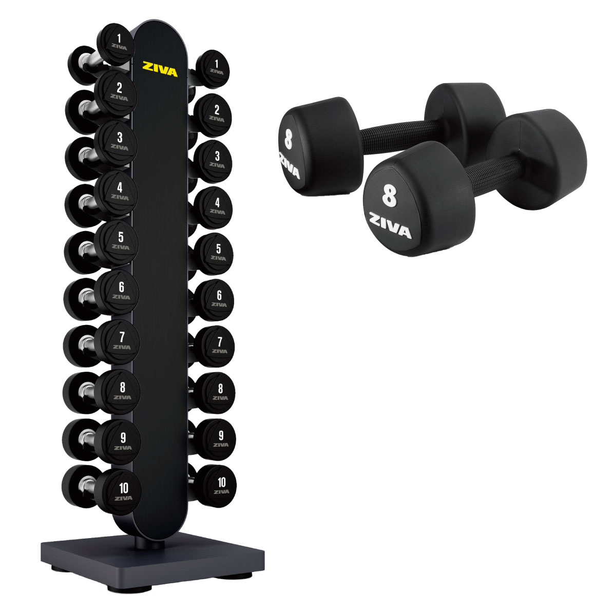 楽天市場】【業務用】ウレタンダンベル 10ペア 20個 1-10kg ダンベル