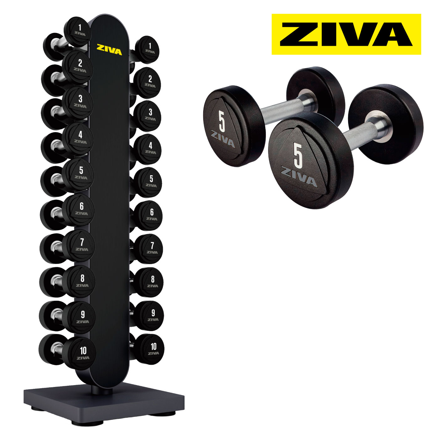 バーベル セット ダンベル」の人気商品一覧 | 安い商品を通販サイト