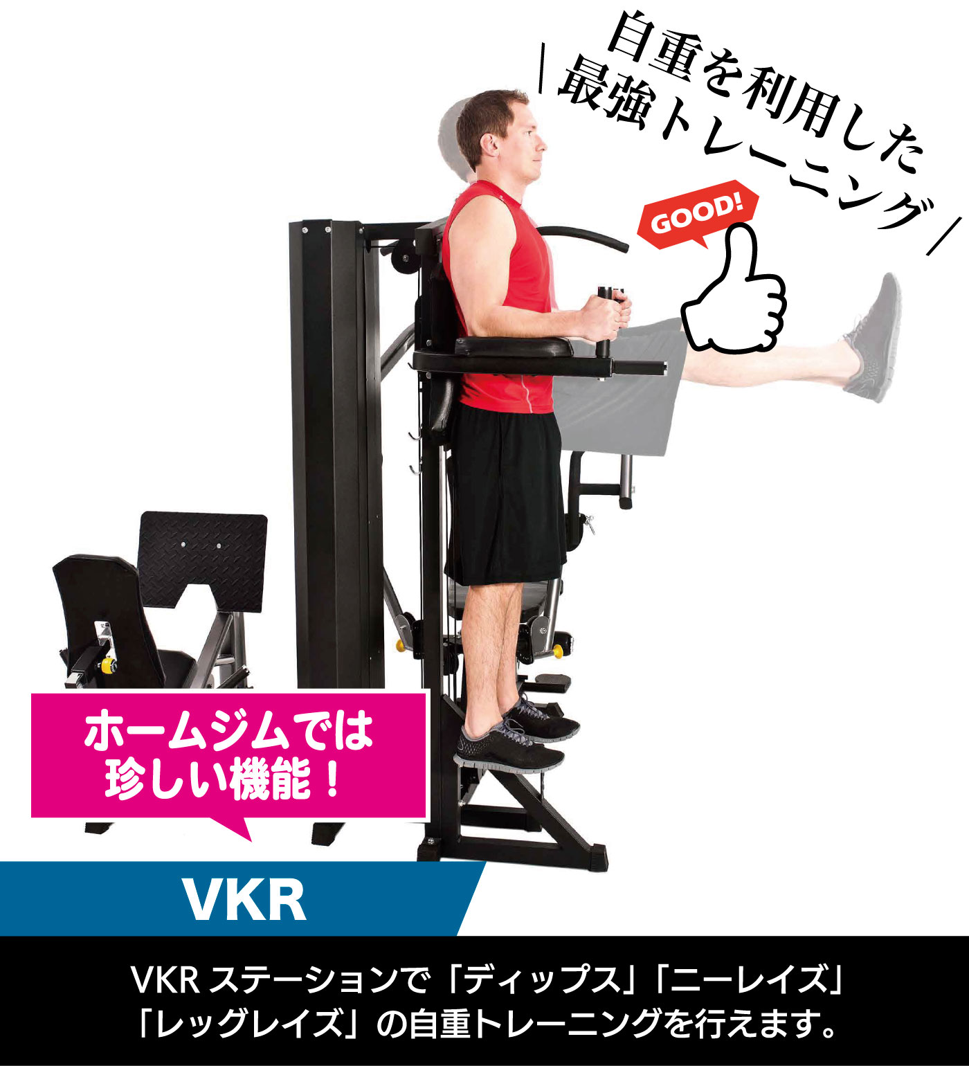 楽天市場】【期間限定 特別価格】 マルチジム TORUS5 トーラス ホーム