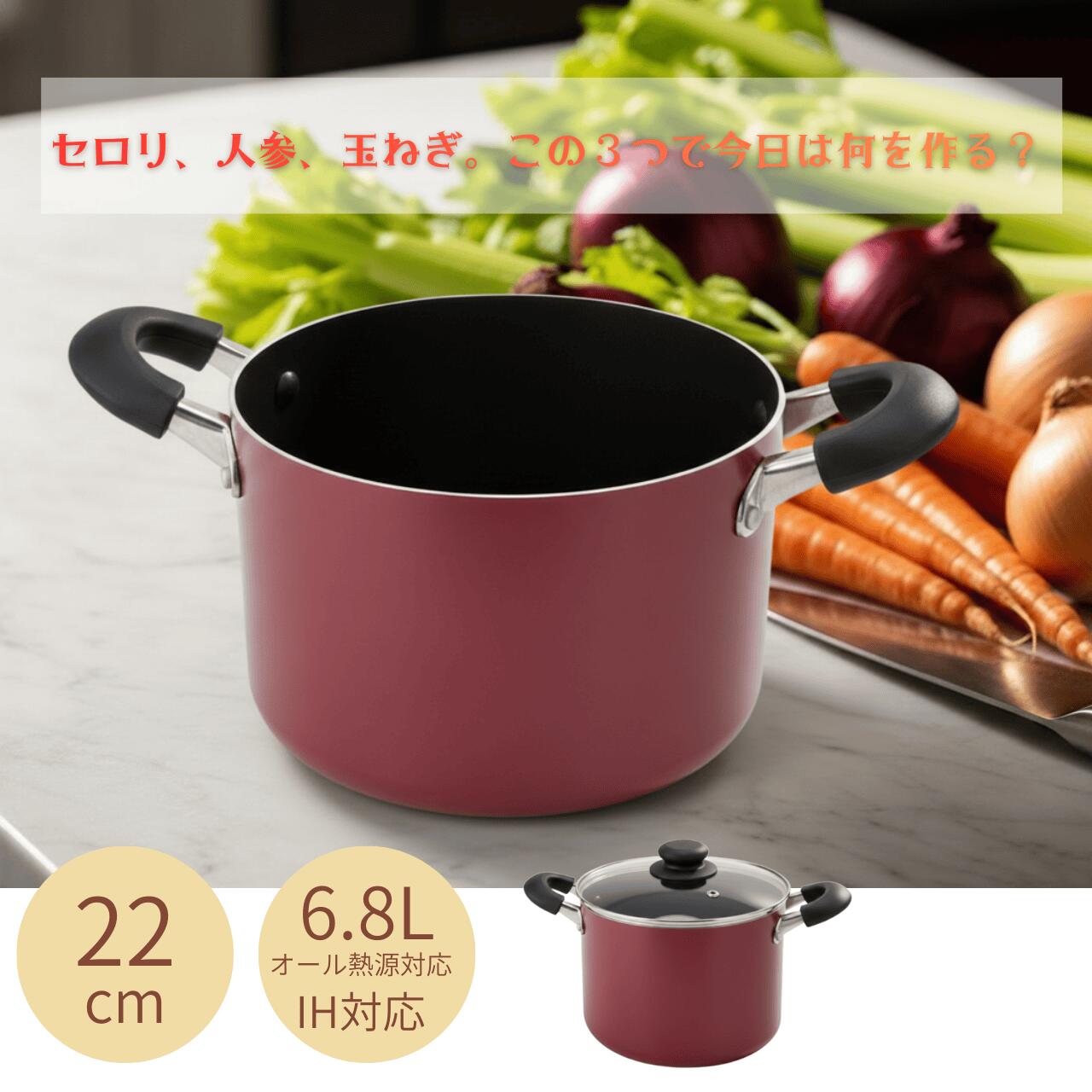 楽天市場】寸胴鍋 22cm IH対応 フッ素加工【ダイキンSilkware】ガラス