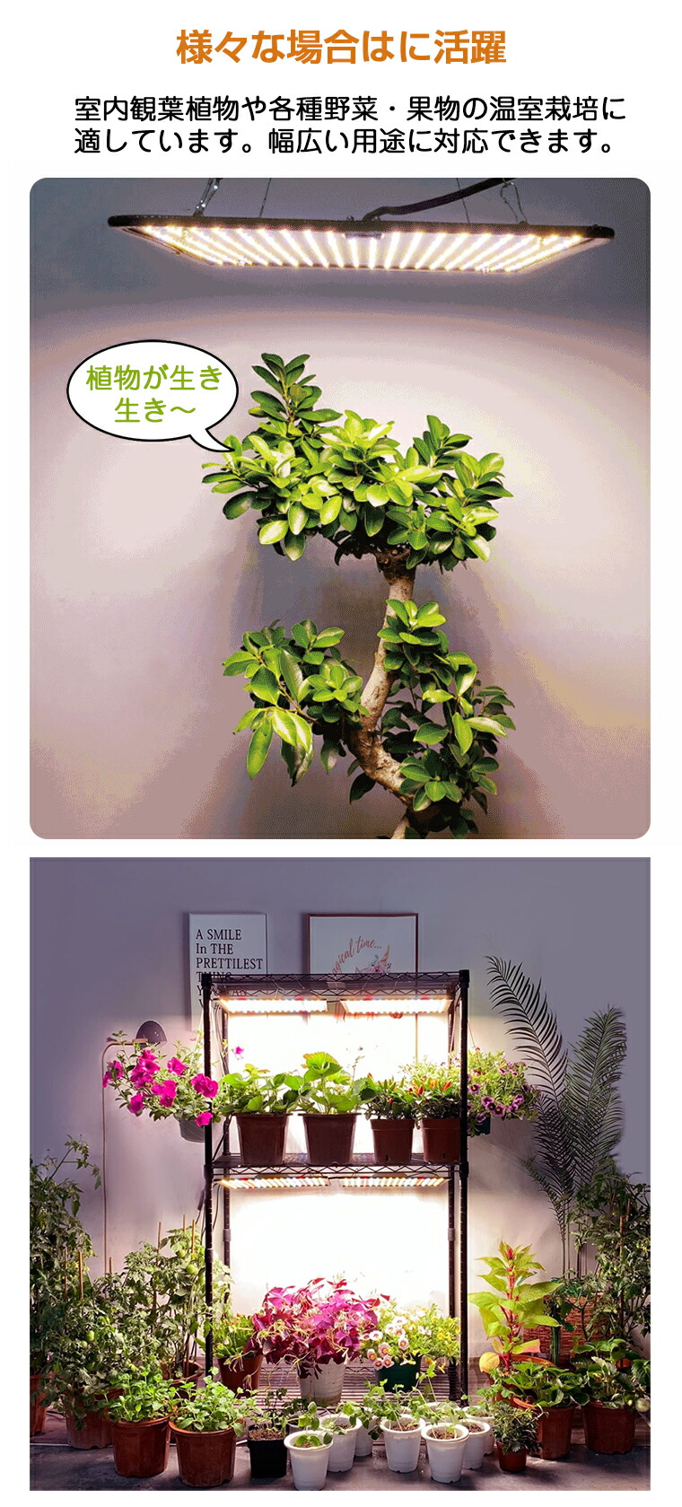 楽天市場】【楽天2位】植物育成ライト LED パネル 500個LED 屋内 屋外