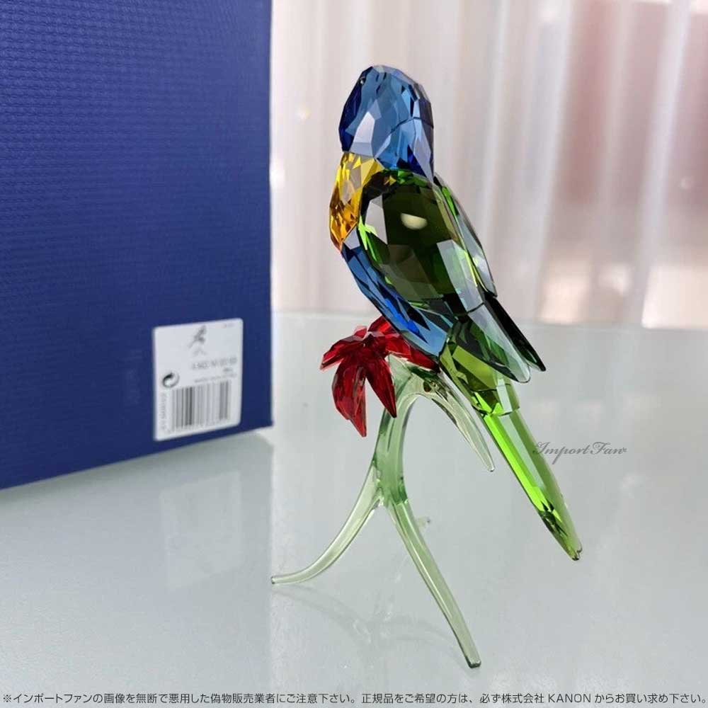 楽天市場】スワロフスキー ゴシキセイガイ インコ 鳥 レインボー