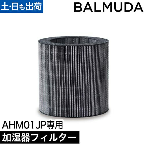 楽天市場】バルミューダ 加湿器専用フィルター Rain 加湿フィルター
