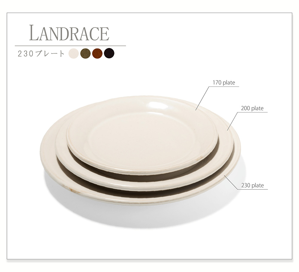 楽天市場】【3/4 20時〜 スーパーSALE限定 ポイント10倍】スタジオエム