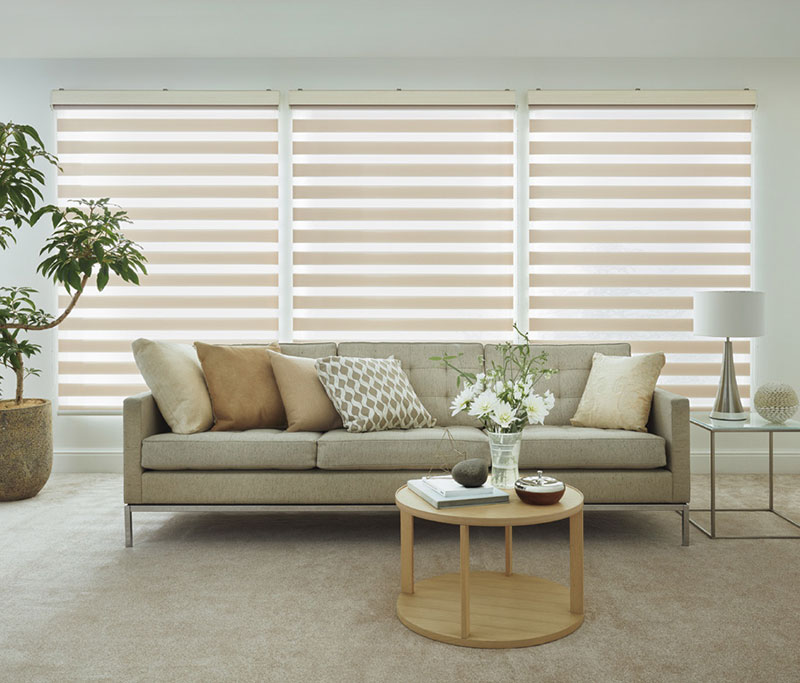 楽天市場】【最大ポイント23倍＋クーポン】調光ロールスクリーン