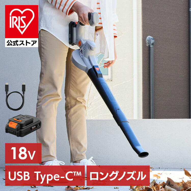 楽天市場】[700円OFFｸｰﾎﾟﾝ/有名ｼｮｯﾌﾟ]＼10％OFF／【公式】【Type-C充電