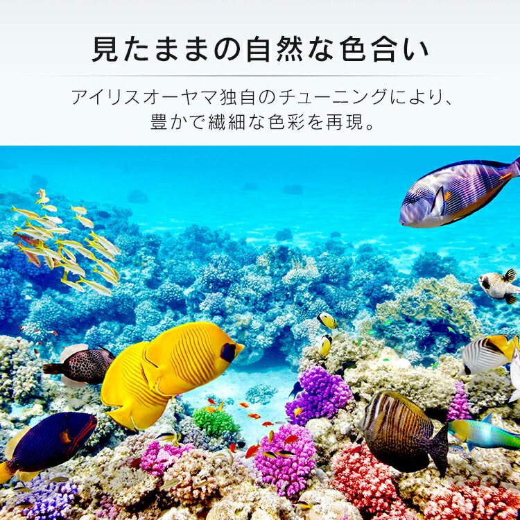 楽天市場】2K液晶テレビ 32V型 LT-32D320B LT-32D320W 送料無料 2K