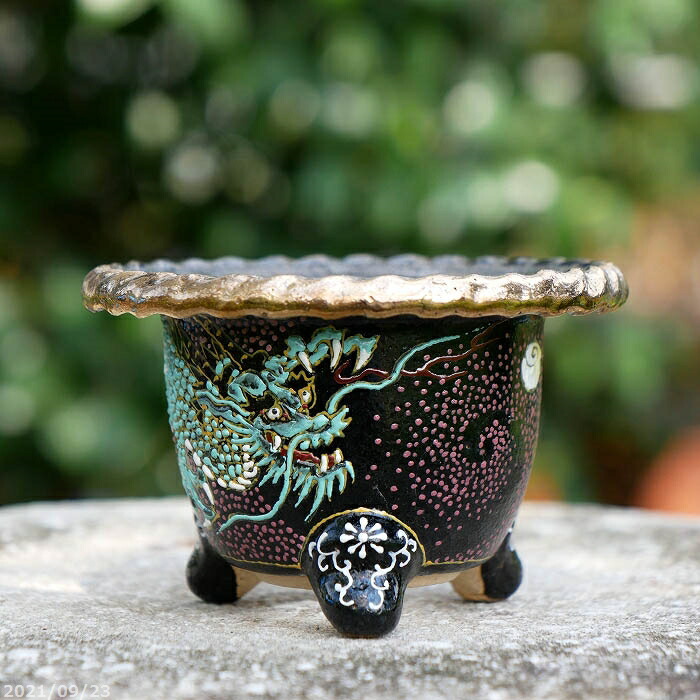 楽天市場】京楽焼 植木鉢 愛楽園製 富貴蘭鉢 縄縁 青龍紋 3.3号 (現品