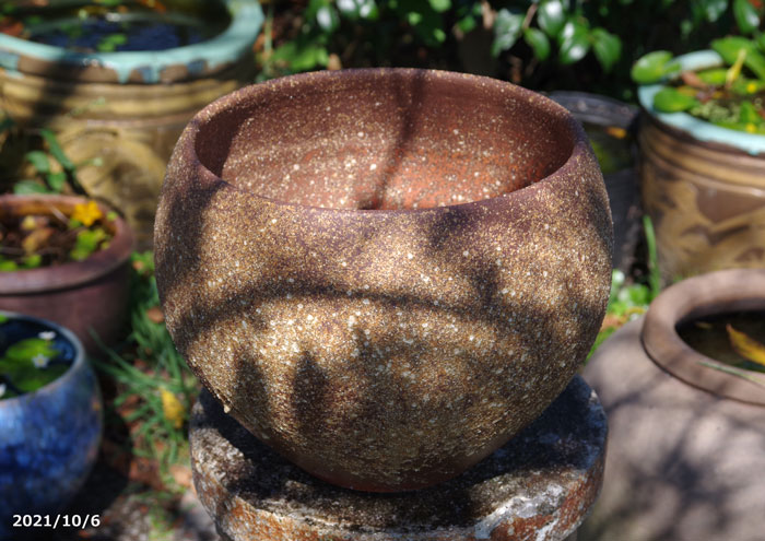 信楽焼 睡蓮鉢 直径32㎝ 水鉢 メダカ鉢 丸型 花瓶 花器 壺 水槽 信楽焼