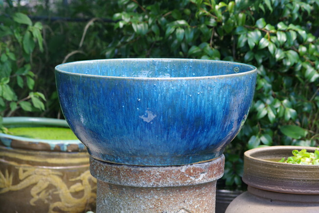 楽天市場】信楽焼 睡蓮鉢 陶器 大型 選べる 手づくり ブルーガラス水鉢
