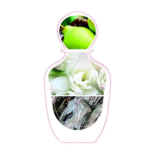 楽天市場】【Ferragamo フェラガモ 公式 】アモ フェラガモ パー レイ