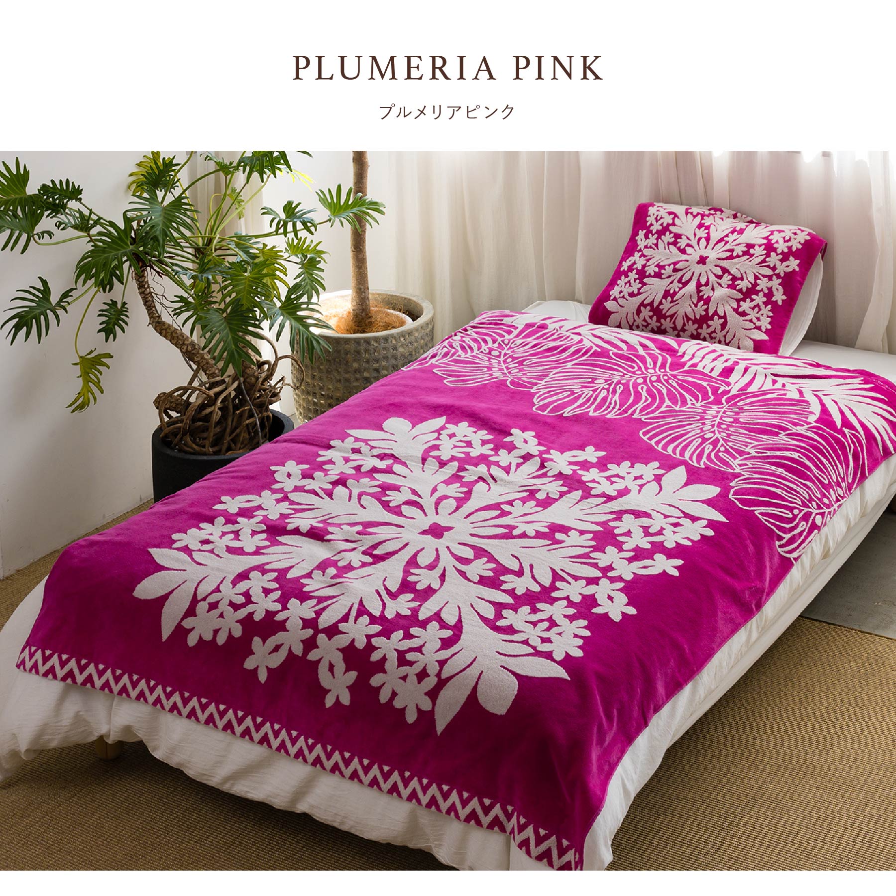 楽天市場】【 キャシーマム 】 タオルケット シングル 140cm×190cm