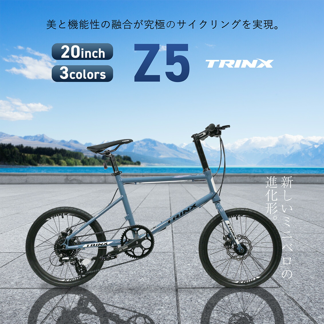 楽天市場】【送料無料】WディスクブレーキShimano3X8 24速本格派