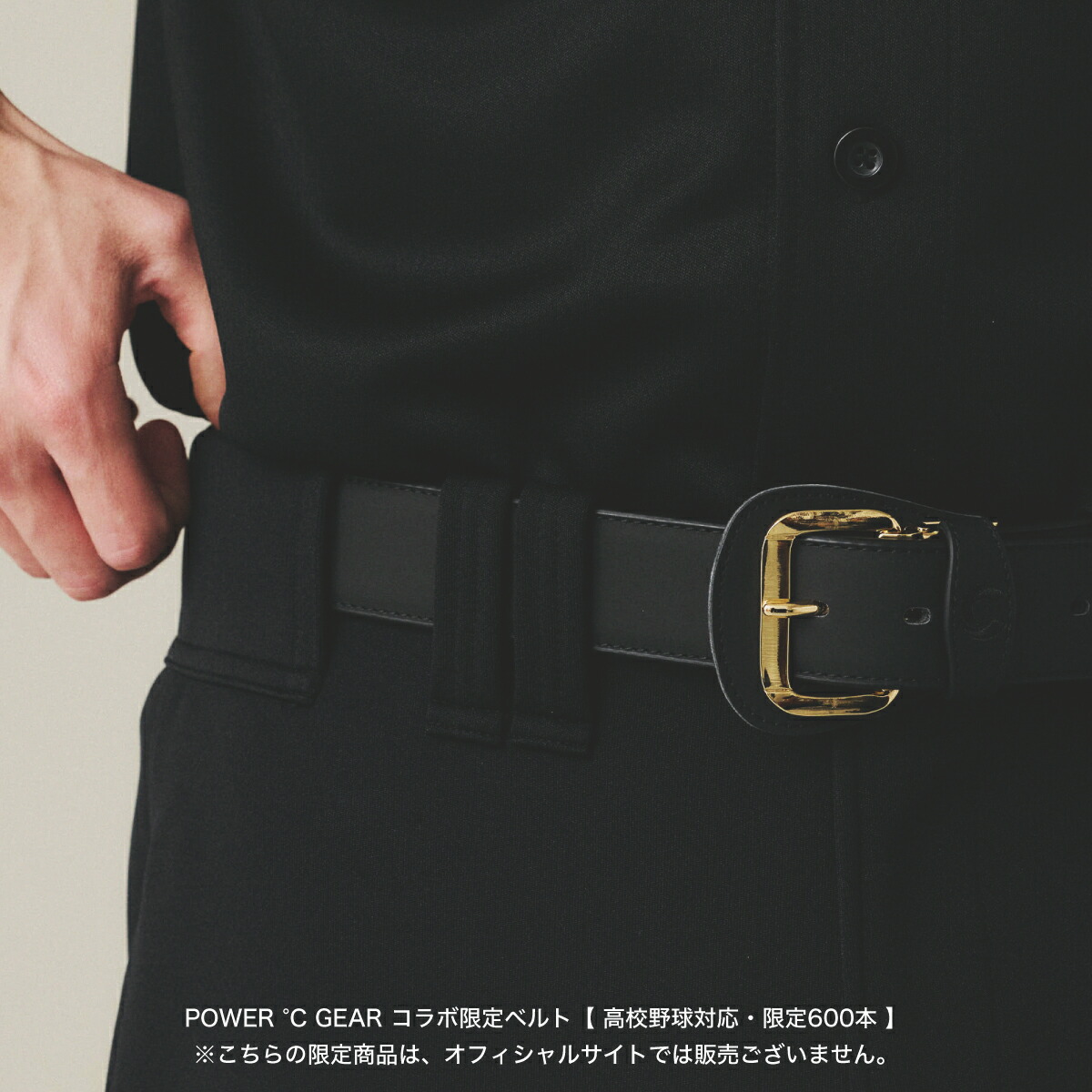 楽天市場】当店限定モデル パワードギア マグエナジーベルト ベース