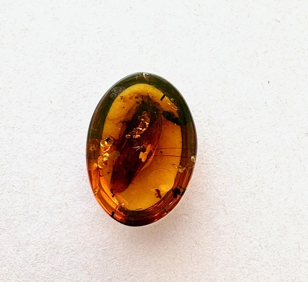 楽天市場】【虫入り琥珀】琥珀ルース 天然琥珀 パワーストーン