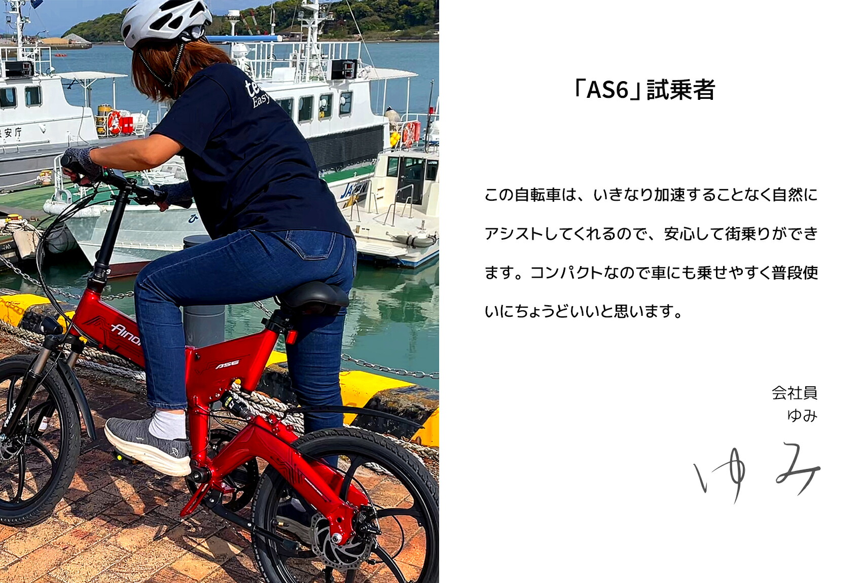 楽天市場】電動アシスト自転車 【形式認定済】 公道走行可 20インチ