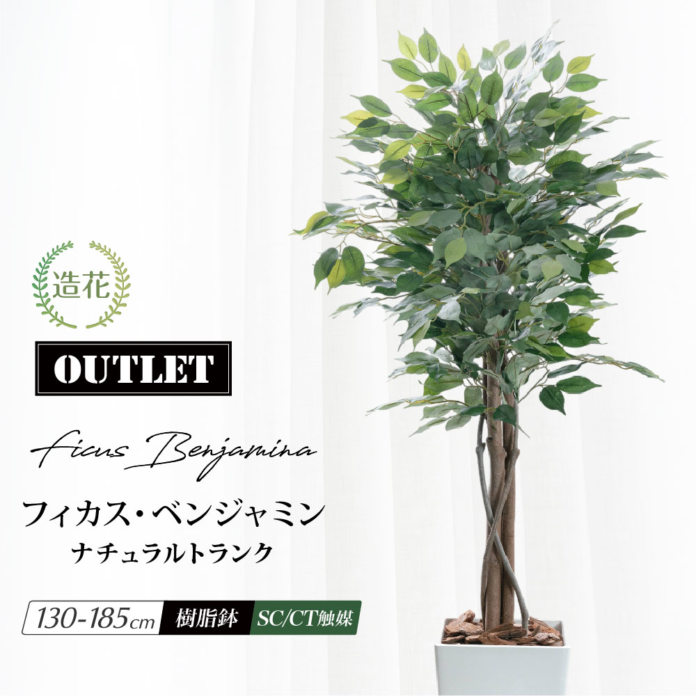 楽天市場】フェイクグリーン 観葉植物 ベンジャミン 人工観葉植物 天然