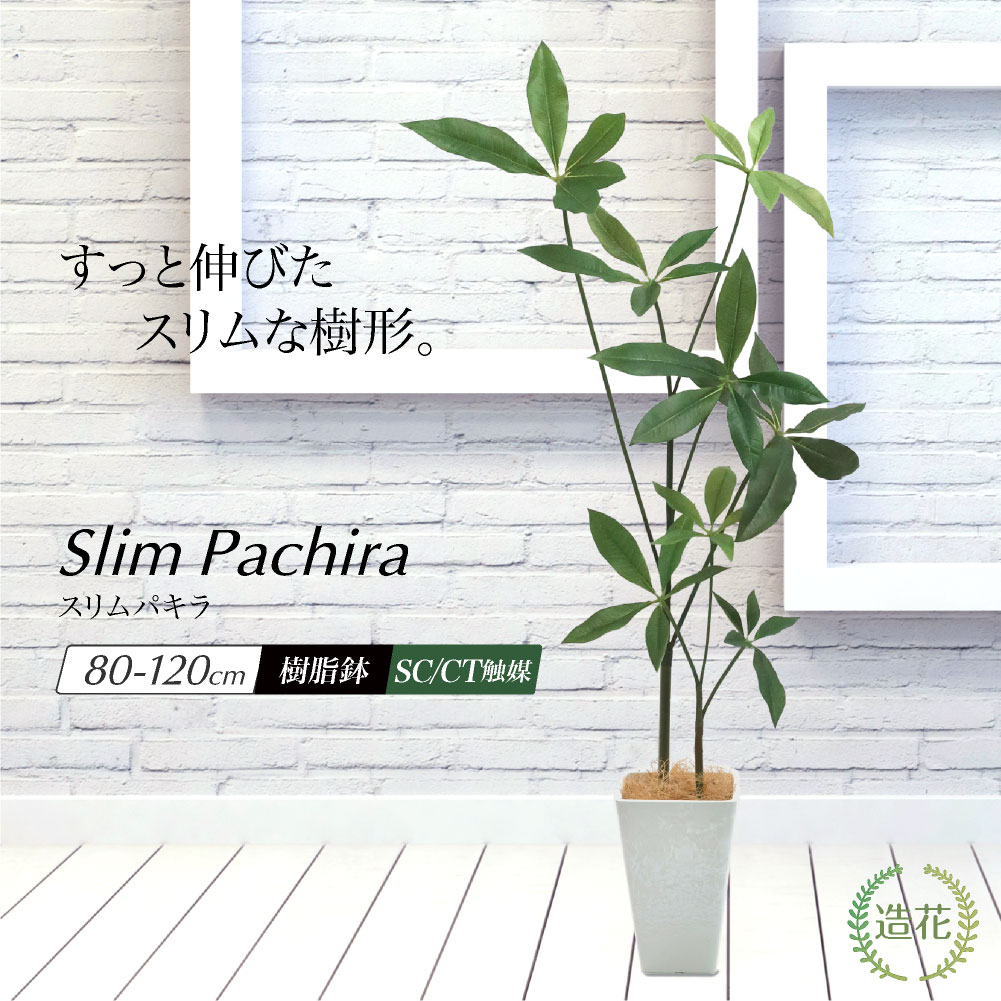 楽天市場】フェイクグリーン 観葉植物 パキラ 大型 スリム 光触媒 CT