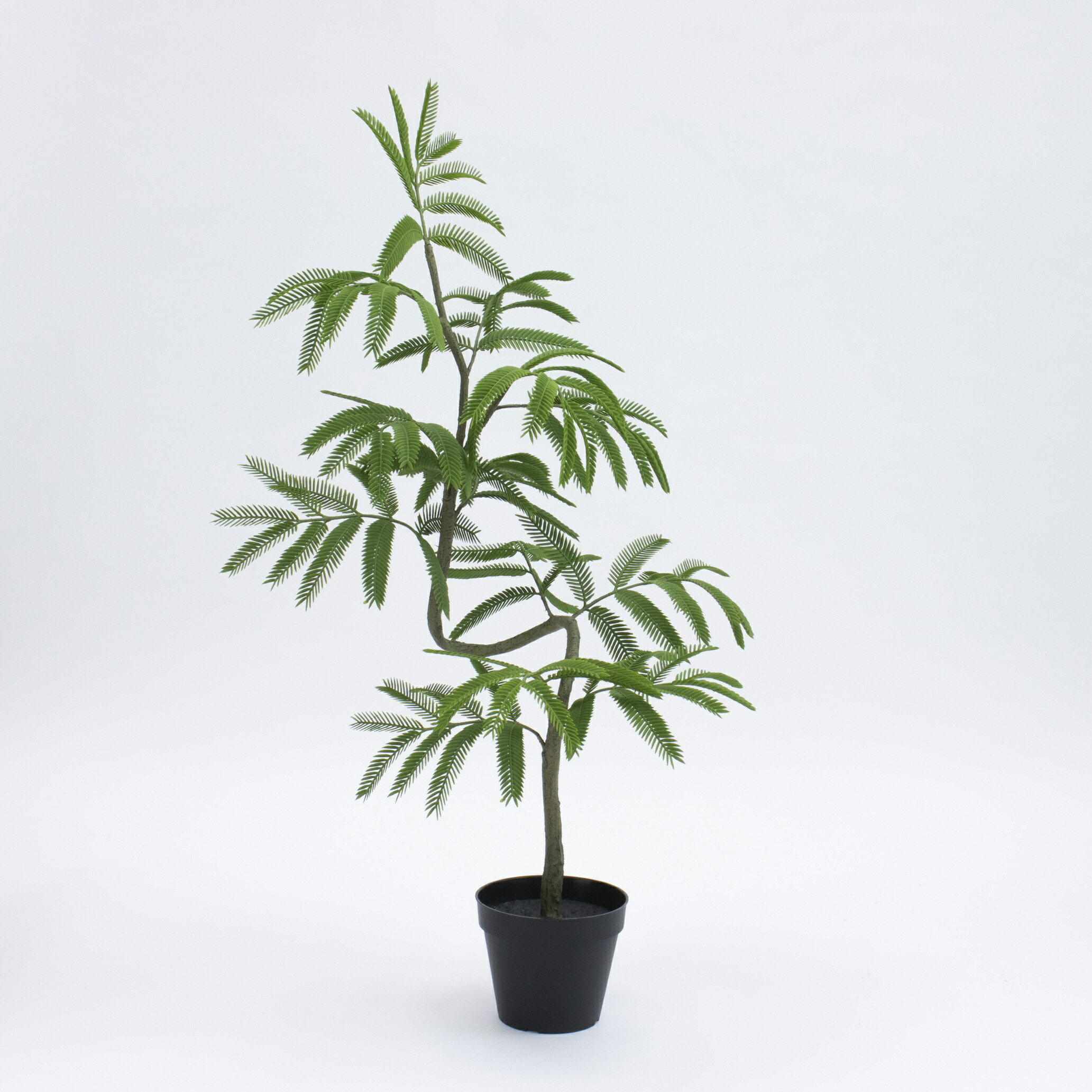 エバーフレッシュ 曲がり」の人気商品一覧 | 安い商品を通販サイトから