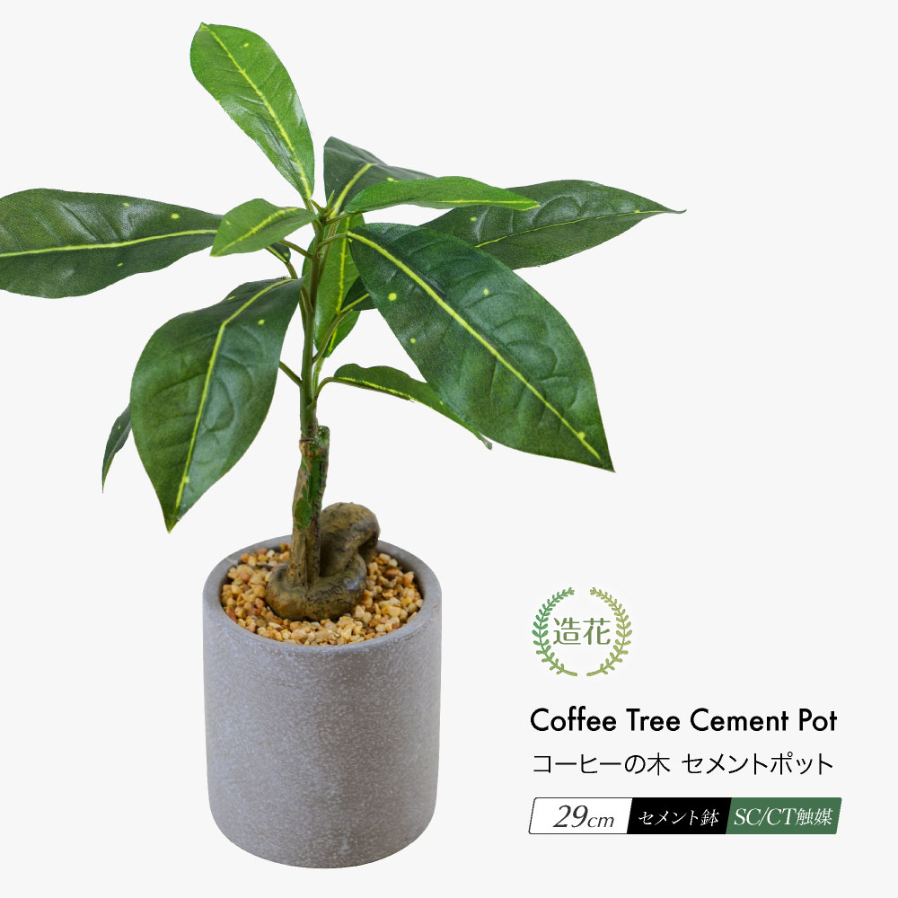 楽天市場】フェイクグリーン 人工観葉植物 卓上 ミニ 小さい 光触媒