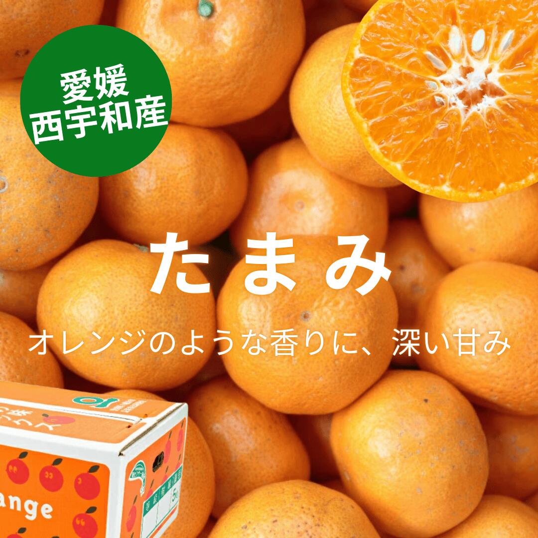 楽天市場 | 愛媛フルーツビレッジくにやす - たまみ