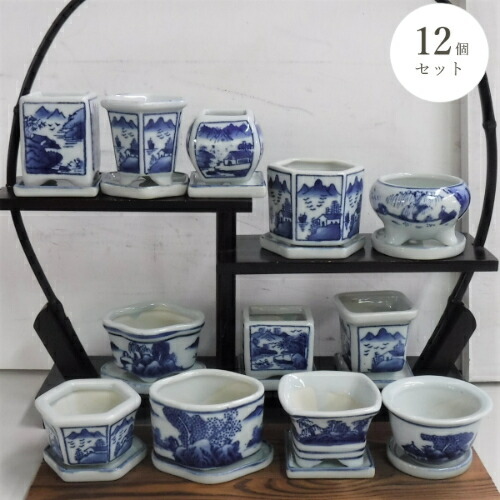 楽天市場】【セール】和鉢 盆栽鉢 [173-010] 12個セット 染付鉢 皿付