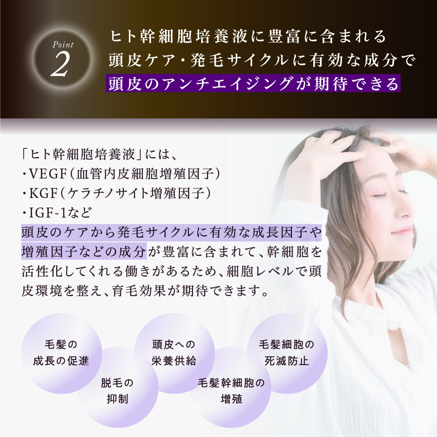 楽天市場】公式 スーパーSALE30%OFF 【 KYOGOKU シグネチャー