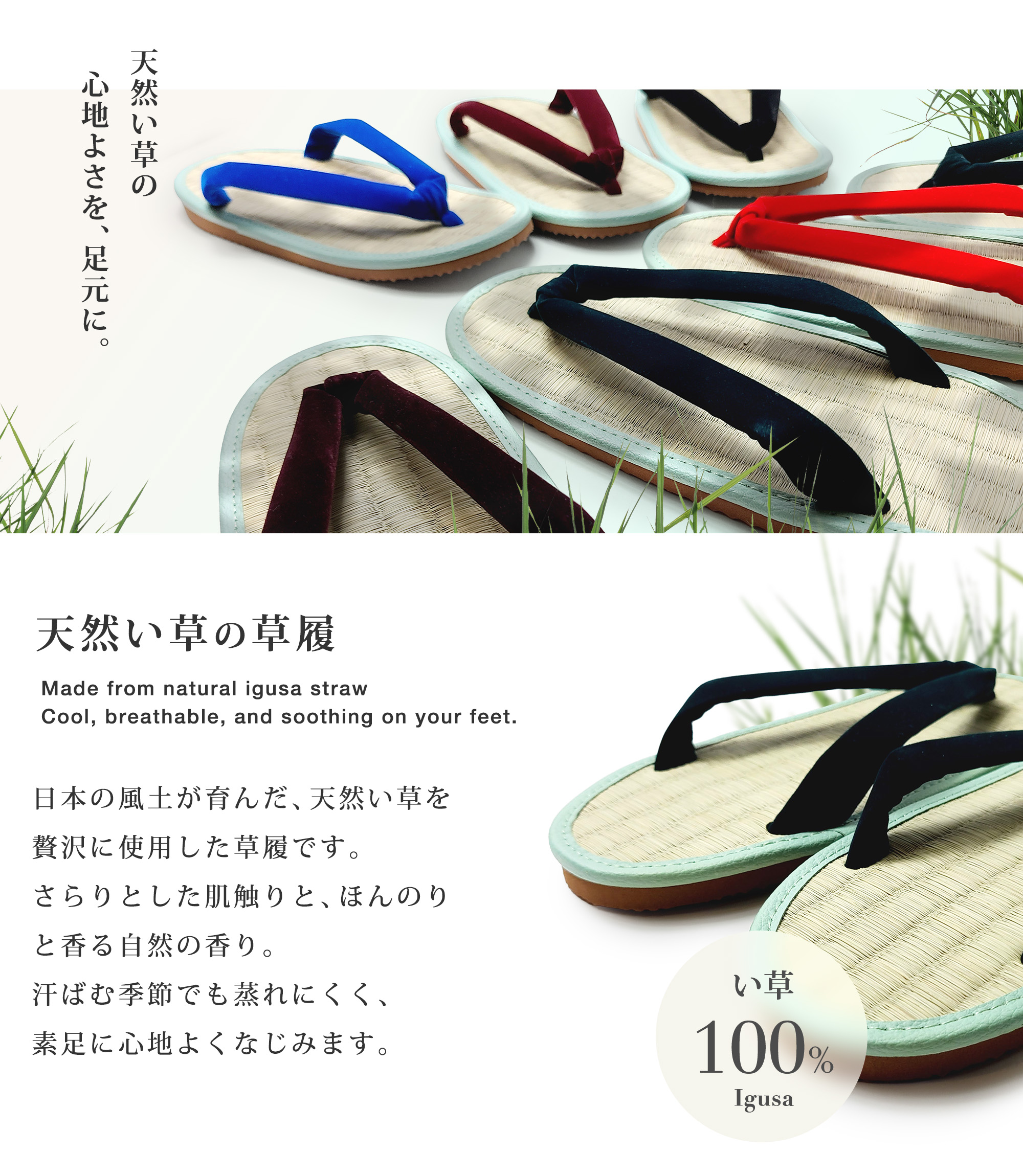 楽天市場】【スーパーSALE 10%OFFクーポン配布中!】【ランキング1位