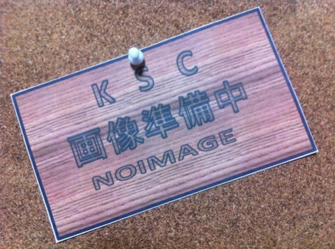 楽天市場】『中古』鳩の翼(上) (講談社文芸文庫) : KSC