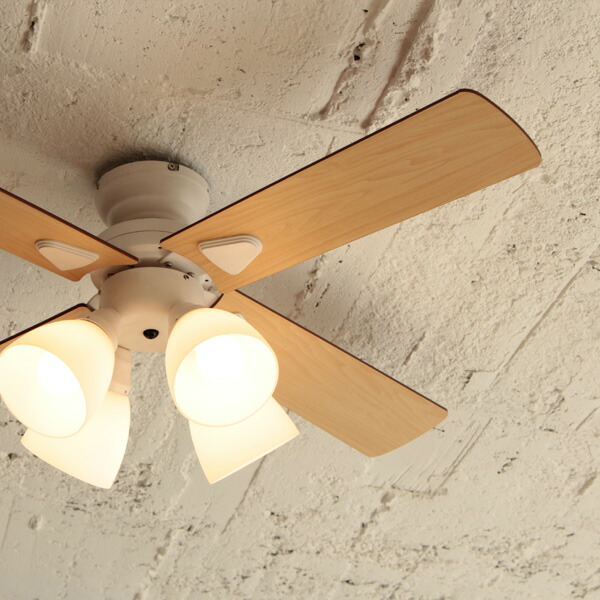 楽天市場】楽天SS開催中｜ 『 シーリングファン Windouble (ウィン