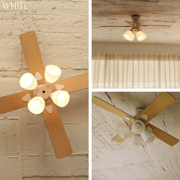 楽天市場】楽天SS開催中｜ 『 シーリングファン Windouble (ウィン