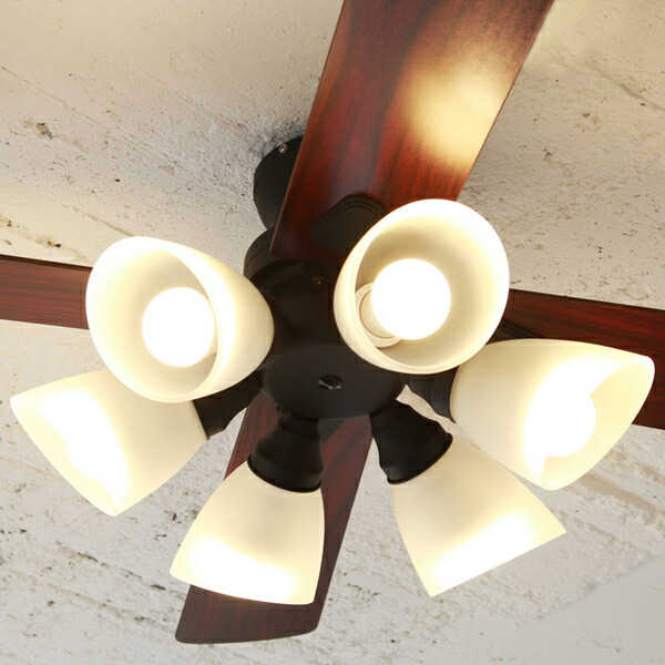 楽天市場】楽天SS開催中｜ 『 シーリングファン Windouble ウィン