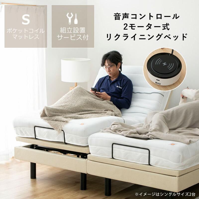 楽天市場】【5と0のつく日限定！最大5000円OFFクーポン配布中】電動